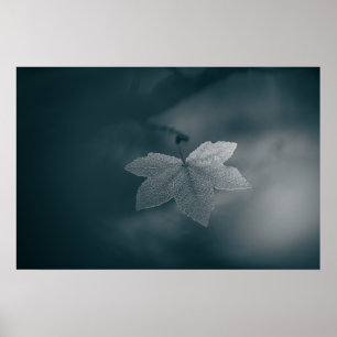 Stilisiertes monochromes Ahornblatt-Naturfoto Poster