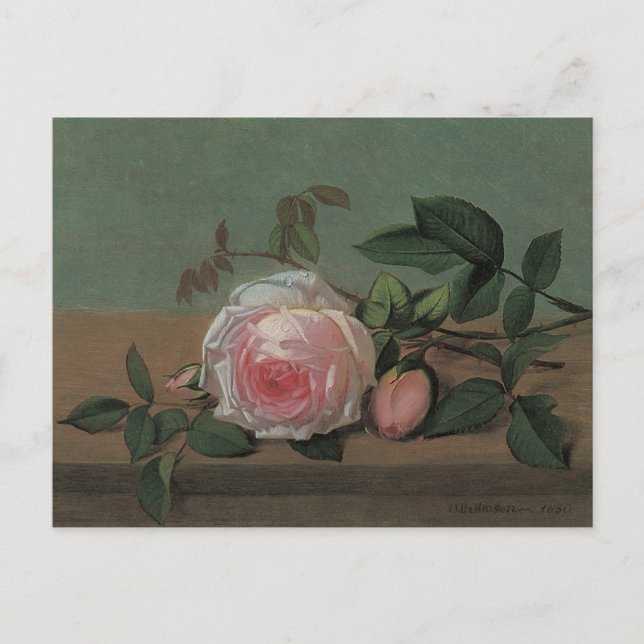 Still Life-Blume an der Lecke von Otto Ottesen Postkarte (Vorderseite)