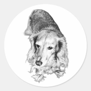 Still & Seen – Langhaar-Dachshund Runder Aufkleber