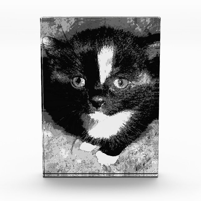 Stille Beobachter Fotoblock (Vorderseite)