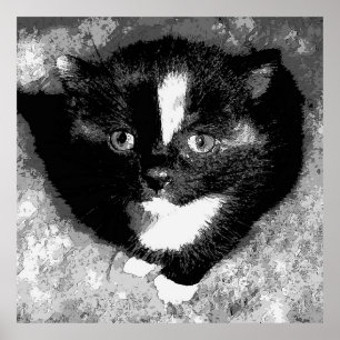 Stille Beobachter Poster