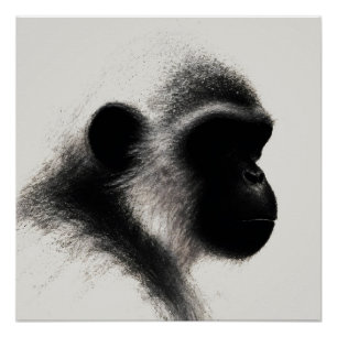 Stille Beobachter-Primate-Kohle-Studie Poster