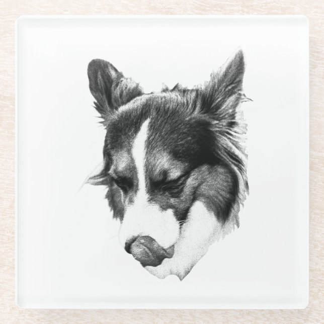 Stille Canine Expression Glasuntersetzer (Vorderseite)