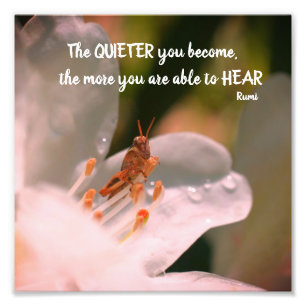 Stille Inspiration Rumi Zitat 8x8 Fotodruck
