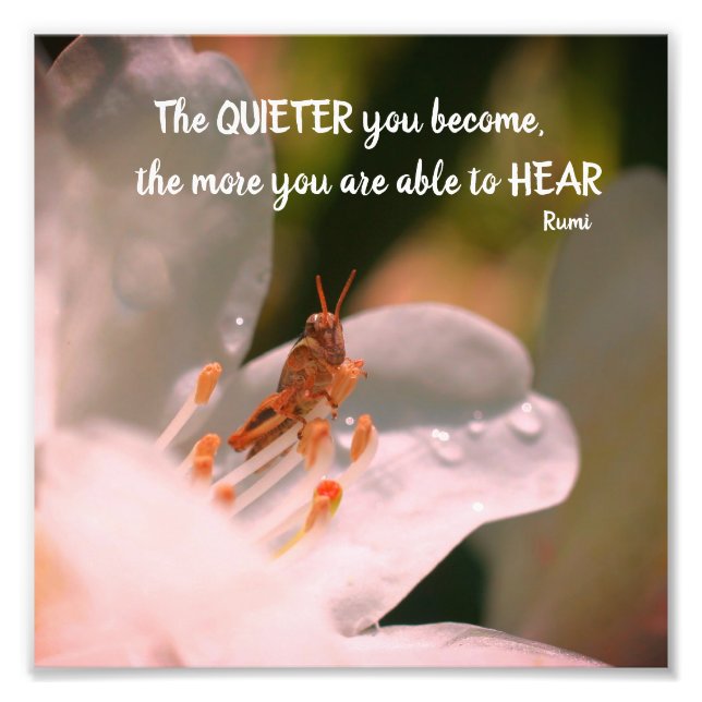 Stille Inspiration Rumi Zitat 8x8 Fotodruck (Vorne)