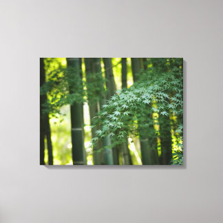 Stille japanische Bamboo-Wälder Leinwanddruck