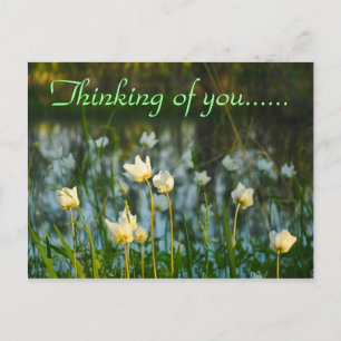 STILLE ORT POSTKARTE