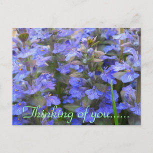 STILLE ORT POSTKARTE