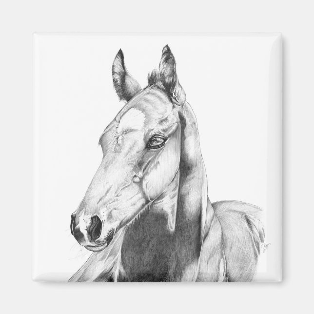 Stille Sicht Magnet (Vorne)