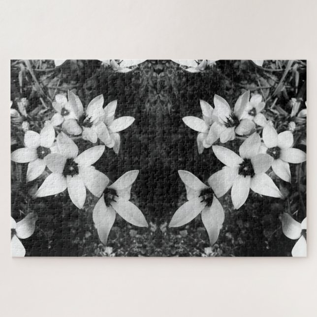 Stille Symmetrie (Horizontal)