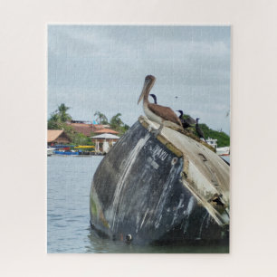 Stiller Beobachter am Rio Dulce