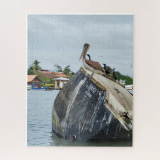Stiller Beobachter am Rio Dulce