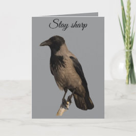 Stiller Beobachter Nebelkrähe Karte
