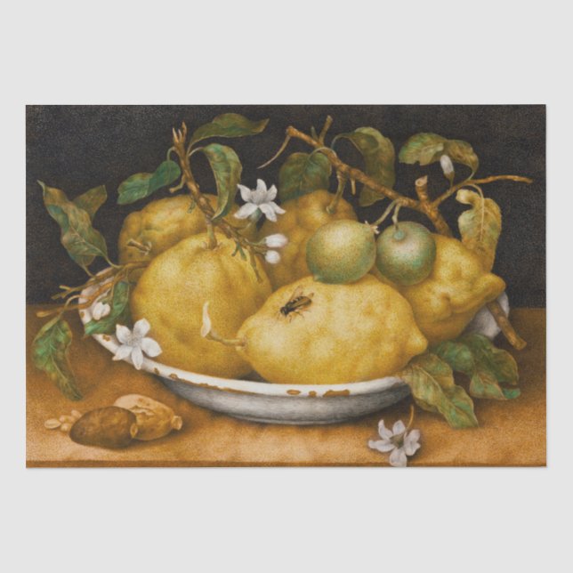 Stillleben mit Bowl of Citronen und Fly Garzoni Seidenpapier (Vorderseite)