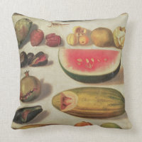 Stillleben mit Frucht und Kröte