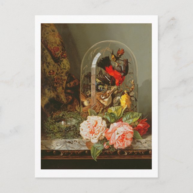 Stillleben mit Humming Bird in einem Glasdom Postkarte (Vorderseite)