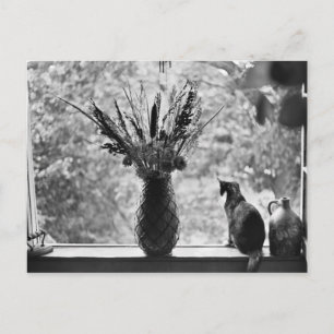 Stillleben mit Katze Postkarte