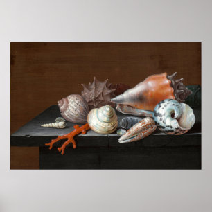 Stillleben mit Muscheln Johann Jakob Dietzsch Poster