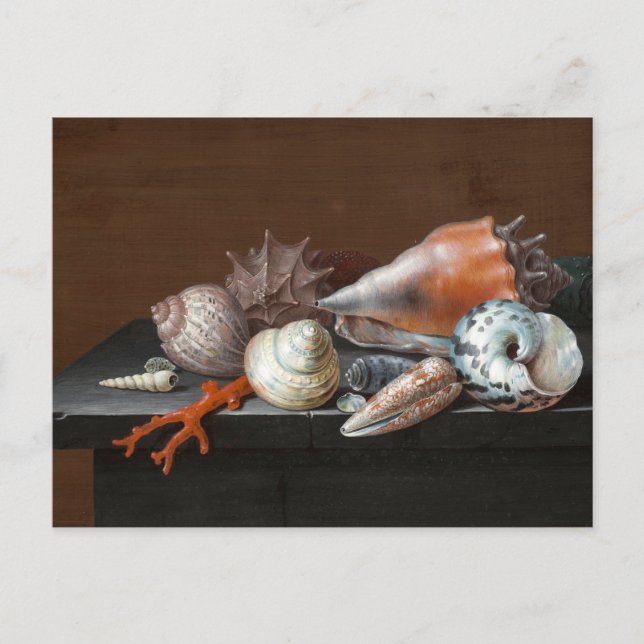 Stillleben mit Muscheln | Johann Jakob Dietzsch Postkarte (Vorderseite)