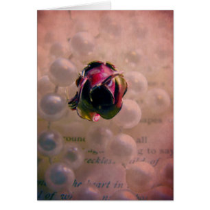 Stillleben mit Rose und Perlen