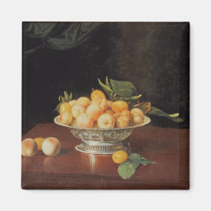 Stillleben T32176 der Pfirsiche, c.1700 Magnet