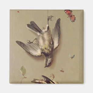 Stillleben toten Vögel und der Kirschen, 1712 Magnet
