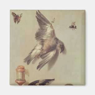 Stillleben toter Vögel und der Maus, 1712 Magnet