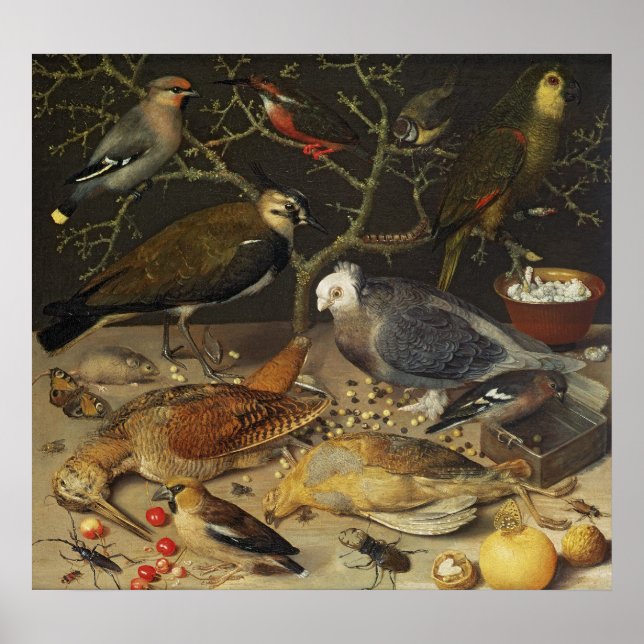 Stillleben von Vögeln und Insekten, 1637 Poster (Vorne)