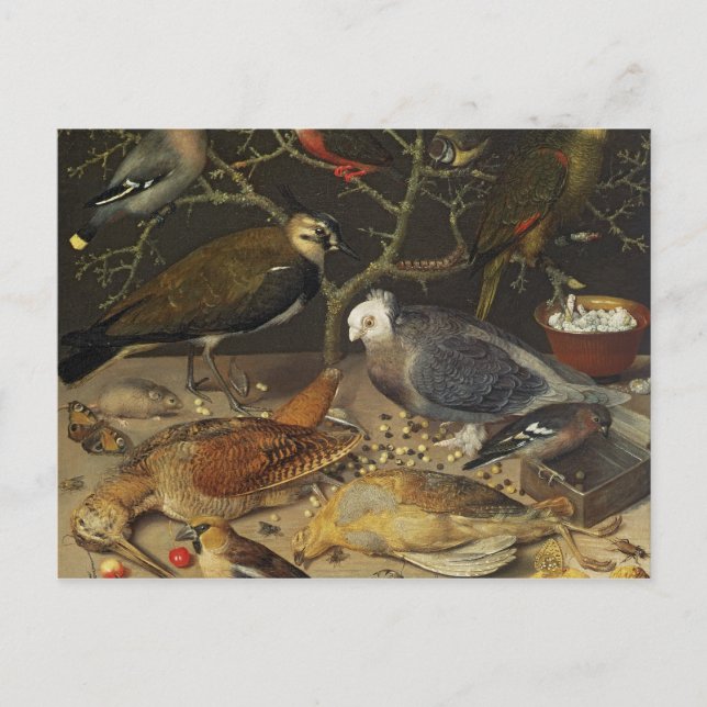 Stillleben von Vögeln und Insekten, 1637 Postkarte (Vorderseite)