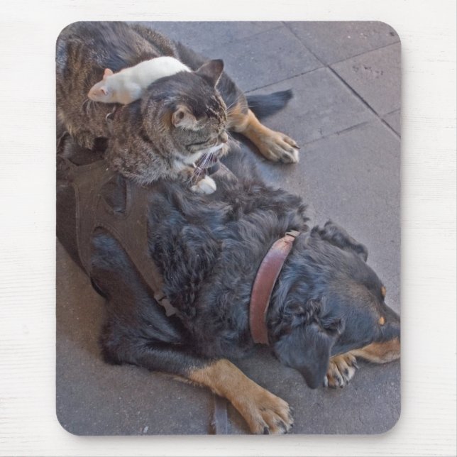 Stillstehen einfach mousepad (Vorne)