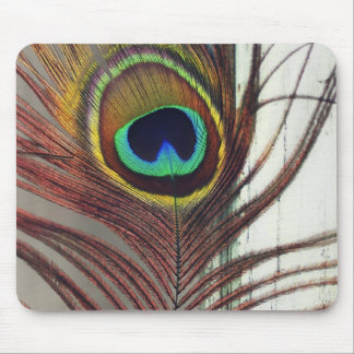 Stillstehende Pfau-Feder Mousepad