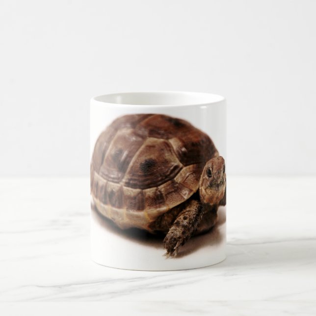 Stillstehende Schildkröte Kaffeetasse (Mittel)