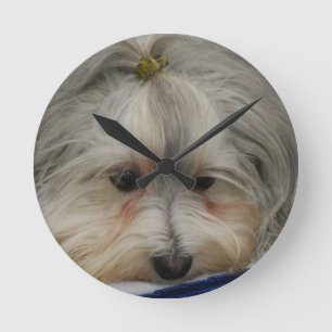 Stillstehender Havanese Hund Runde Wanduhr