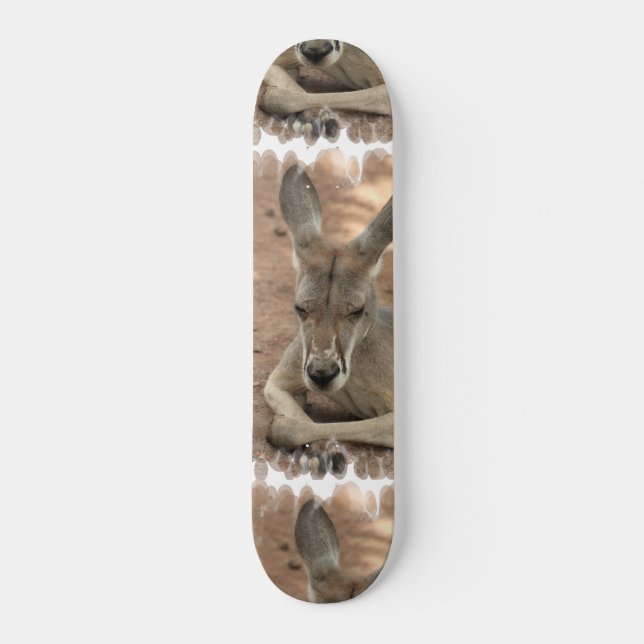 Stillstehendes Känguru-Skateboard Skateboard (Vorne)
