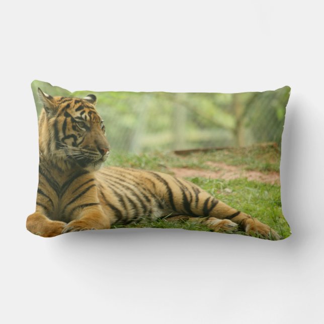 Stillstehendes Tiger-Kissen Lendenkissen (Vorderseite)