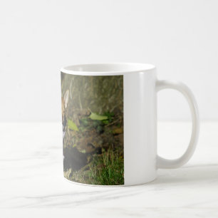 Stilvoll gekleidet Chihuahua Puppy Kaffeetasse