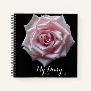 Stilvoll hübsch rosa Rosa Blume Schwarz trendiger  Notizbuch