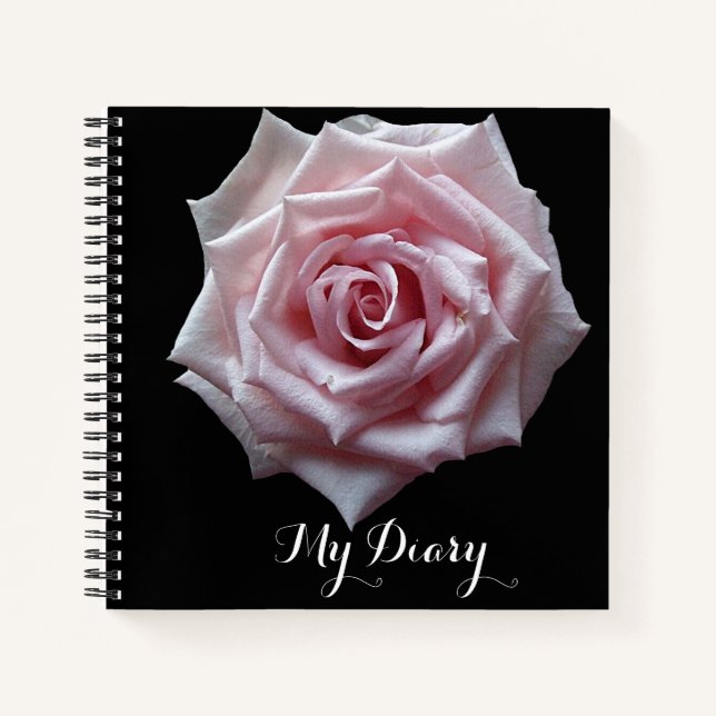 Stilvoll hübsch rosa Rosa Blume Schwarz trendiger  Notizbuch (Vorderseite)