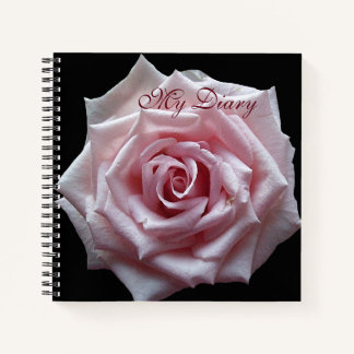 Stilvoll hübsch rosa Rosa Blume Schwarz trendiger  Notizbuch