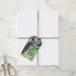 Stilvolle Cat Birthday Geschenketiketten Geschenkanhänger