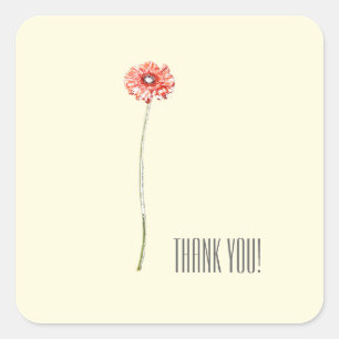 Stilvolle Minimalistische Rote Gerbera Blume Stick Quadratischer Aufkleber