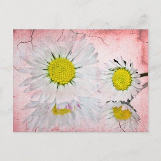 Stilvolle Mod Überraschung Whimsical Classy Destin Postkarte (Vorderseite)