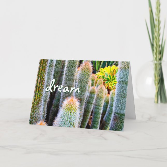 Stilvolle moderne Fuzzy Green Cactus Dream Script Karte (Vorderseite)