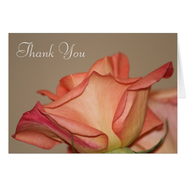 Stilvolle Rose Peach (Vorderseite (Horizontal))