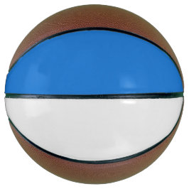 Stilvolle Royal Blue und White Custom Sports Basketball