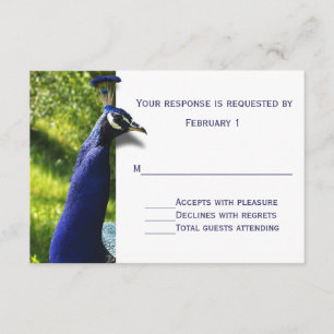 Stilvolle RSVP-Karte für Peacock Wedding Response RSVP Karte