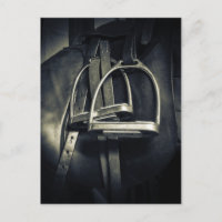 Stilvolle Silver Stirrups auf English Riding Saddl