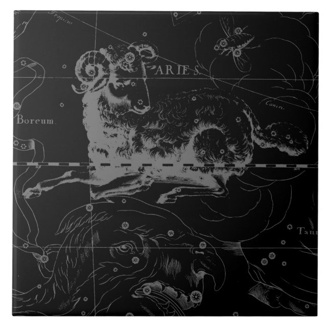 Stilvolle Vintage Widder-Konstellation durch Fliese (Vorderseite)