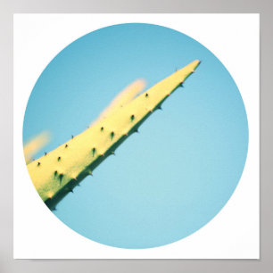 Stilvoller grüner Kaktusdornen Blau Himmel Poster