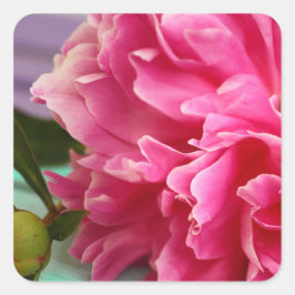 Stilvolles Fotografie Pink Peony Blume Foto Quadratischer Aufkleber